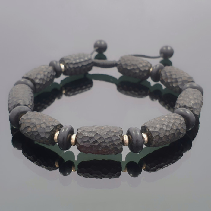 Dzintara aproce (54)