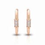 Sarkanā zelta auskari ar cilpiņām (1975), Piekaramie auskari, Zelta standarts: 585, Produkta foto svars: 2.40 g, Dārgakmeņi: Cirkonis - Pielāgotas rotājumlietas