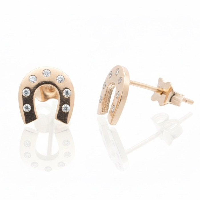 Zelta auskari ar cilpiņām (2009)