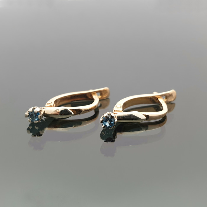 Auksiniai auskarai dekoruoti melsvomis akutėmis (142)