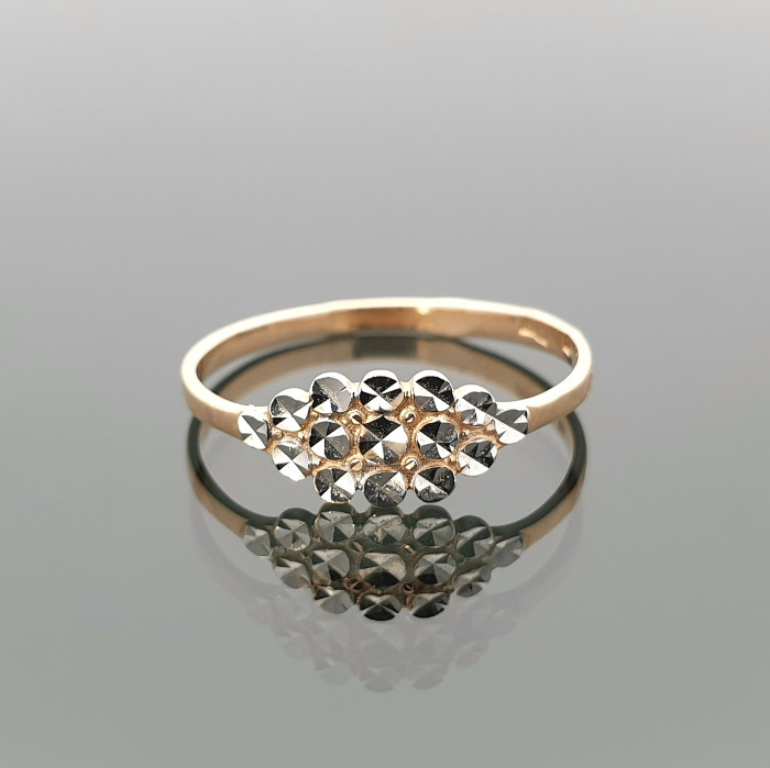 Auksinis žiedas (49)
